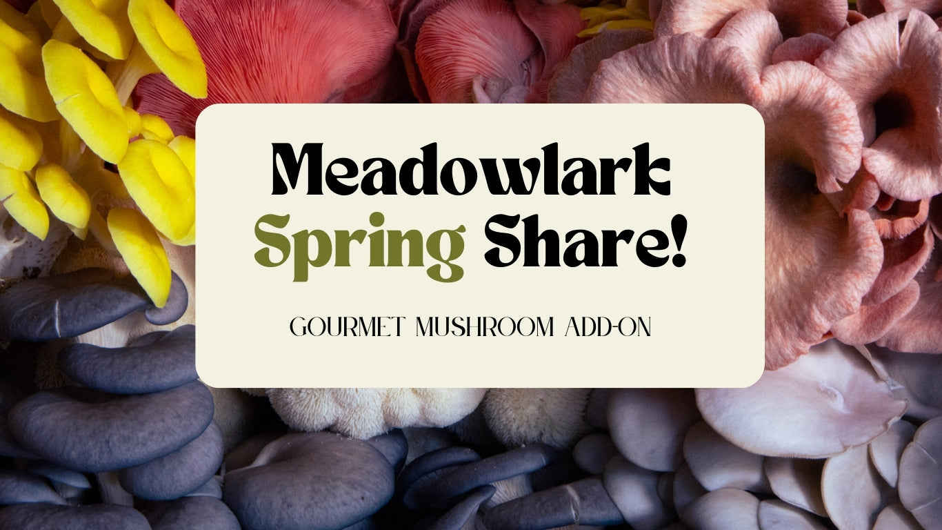 Meadowlark CSA Mushroom Add-On!